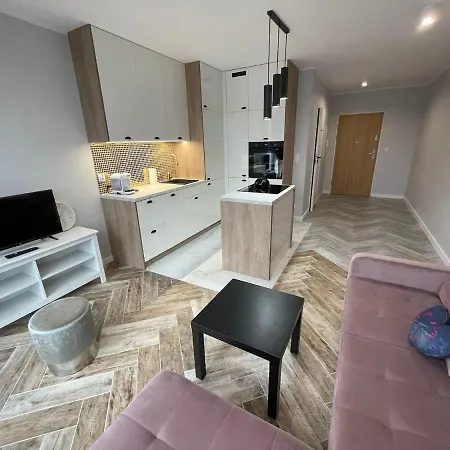 High Standard Apartment *